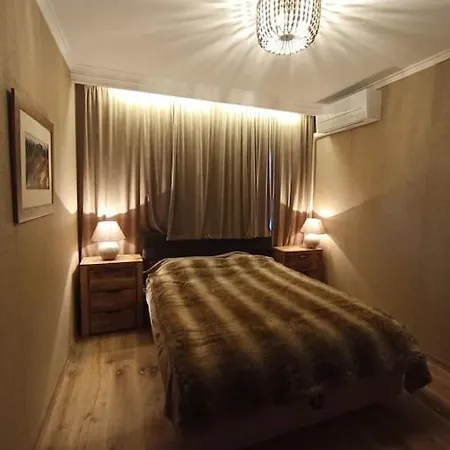 Apartment Luxury Cozy Style